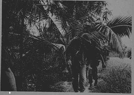Steinbeck in Vietnam, 1966